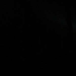 Meet your Posher, Bridget